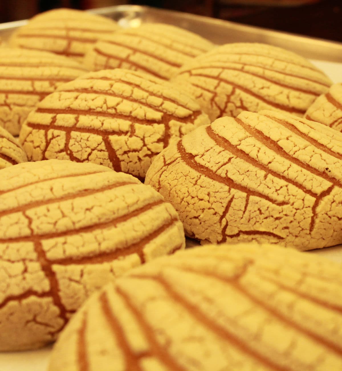 Close-up of conchas pan dulce at Los Portales bakery